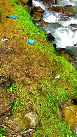 #kashmir_view💁💁 #naturilover🏞🌦💫🌻💜 #fypシ゚viral🖤tiktok☆♡🦋1millionviewsmyvideo #14august @TiktokPakistanOfficial 