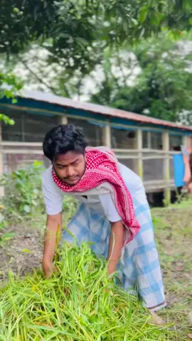 কারন আমরা পুরুষ🙂#humunity #probashi #bastobota 