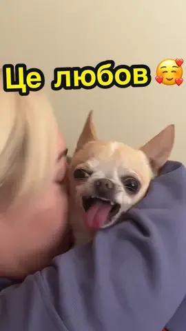 #ВэтотДень 