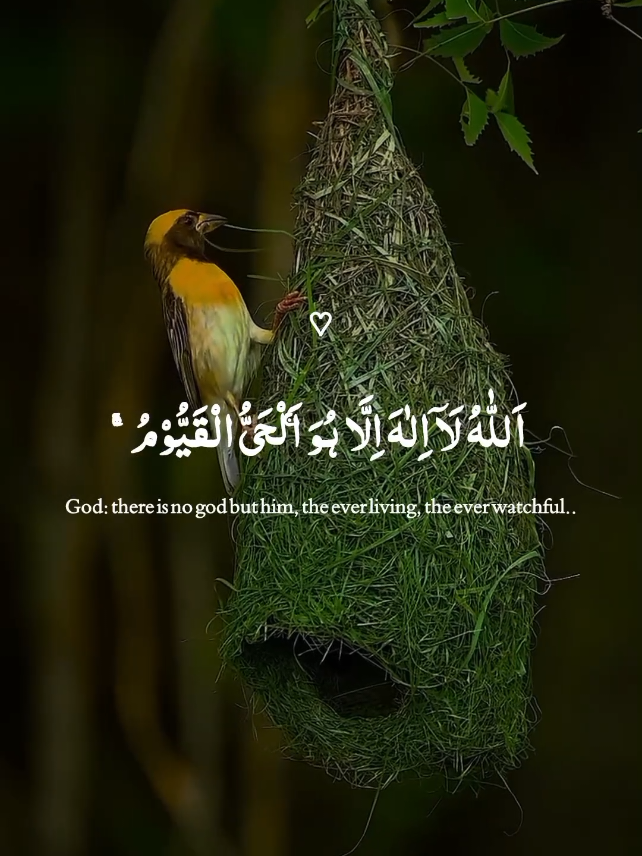 ayatul kursi.🤍🎧 #quran #quran_alkarim #قران_كريم #beautiful #fyp #foryoupage #flip #🥺💫💫 