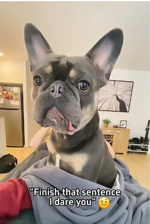 When I inquire if my dog wants to take a walk…🤣😂🐶#dog #dogsoftiktok #pet #fyp #foryou #funnydog #funnyvideos #funnytiktok 