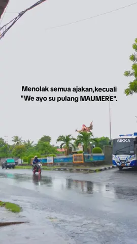 #fyp #fypシ゚viral #nttpride🏝🔥 #maumere_flores_ntt #anakrantau #pulangkampung #promomakanmerdeka 