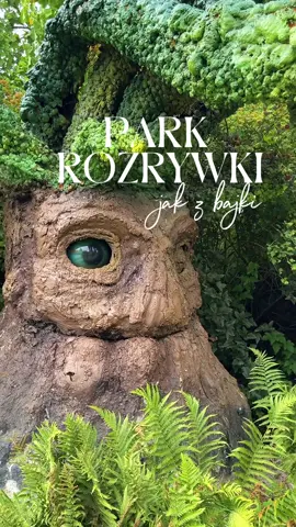 📍Rodzinny Park Rozrywki „Magiczne Ogrody”, Trzcianki 92, Janowiec woj. lubelskie (1h 50 min autem z Warszawy) 💸 Online (koniecznie, ominiecie kolejkę do kasy!): normalny 119, ulgowy (do 14 lat) 109,  maluchy do 1 r.ż za darmo, potem do 100 cm - 15 złotych. Fajną opcją jest bilet urodzinowy za 29 złotych (+/- 5 dni od daty urodzin - dlaczego urodziłam się w zimie ;/) ⏰ w sezonie codziennie 10-19 Magiczne Ogrody były na mojej liście od dawna - czułam, że będzie mi się tu podobać , bo łączą dwie rzeczy, które lubię zwiedzać - naturę i atrakcje dla dzieci zrobione z pomysłem. To nie jest po prostu park rozrywki w stylu - tu postawimy karuzelę, tam kolejkę i o. Od wejścia zanurzamy się w baśniowym świecie i zwiedzamy fantastyczne krainy.  O mały włos a nie zwiedzilibyśmy nic, bo blisko wejścia są ustawione dwie poduchy do skakania, na szczęście młody ich nie zauważył (zostalibyśmy tam na pół dnia). Już pierwsze atrakcje robią wrażenie, plac zabaw a’la zamek, urokliwy staw z tratwami, fajna plaża z leżaczkami dla zmęczonego rodzica, kolejka, Gród Krasnoludów. Synowi najbardziej przypadła do gustu arena walk na miecze (na szczęście byłam zwolniona z pojedynku, w szranki stanął tata) oraz Wieża Prób, czyli zjeżdżalnia, która wygląda onieśmielająco. Nazwa zobowiązuje - ogrody są naprawdę pięknie utrzymane - zieleń na każdym kroku, mnóstwo strumyków, mostków, no bajka! Dobrze jest też przemyślana infrastruktura - sporo śmietników, toalet (w tym oddzielnych dla dzieci), kilka punktów gastro. Teren jest ogromny i mimo, że ludzi było sporo, nie czułam, że jestem w tłumie (poza momentem stania w kolejce w porze obiadowej;)).  Ogrody cieszą się świetnymi opiniami i po wizycie rozumiem czemu. Jeśli się zastanawiacie - to warto, serio! A jeśli przeraża Was taka trasa z dziećmi (ponad 2h z Warszawy z postojem) to polecam nocleg w okolicy, np. w Kazimierzu Dolnym. Szczególnie, że atrakcji jest masa i my zostaliśmy prawie do zamknięcia. Boję się tylko, że będę mieć teraz zbyt wysoko ustawioną poprzeczkę wobec kolejnych parków:). #parkrozrywkidladzieci #rodzinneatrakcje #pomyslnaweekend #dladzieci #dlamalucha 