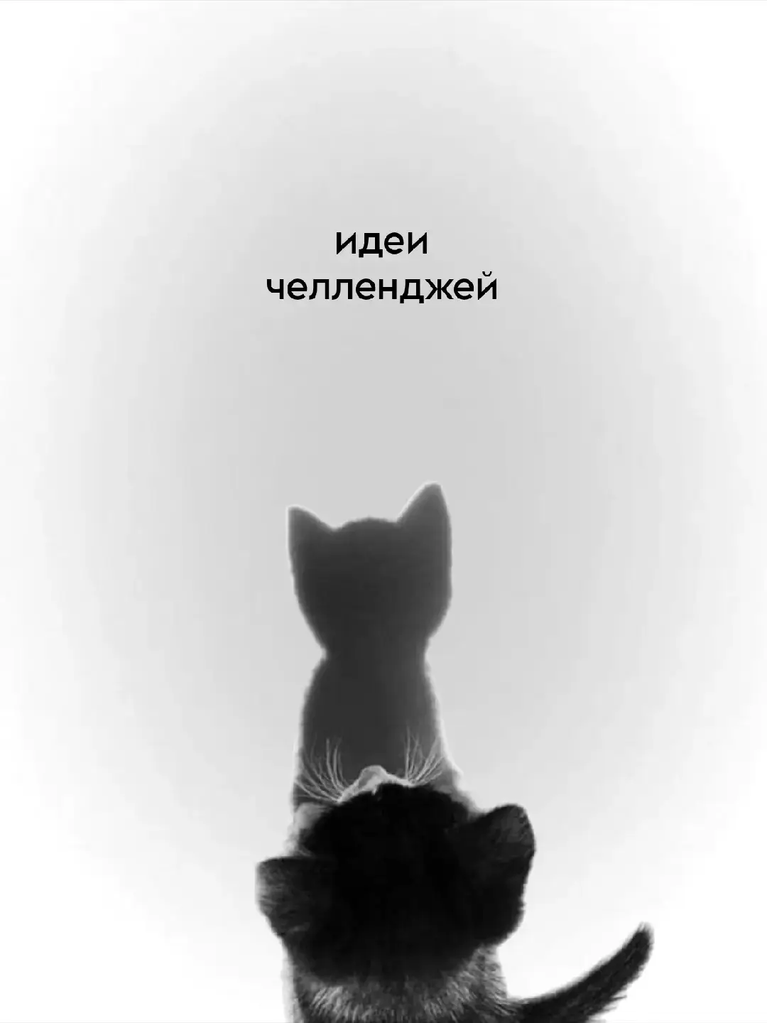 #челлендж #мотивация #лучшаяверсиясебя #bestversionofyou #takecareofyourself 
