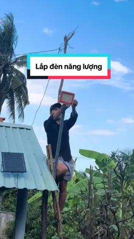 lắp đèn năng lượng cho khu vườn kiểng #nguyenhuuphu63 #mientay #dennangluongmattroi #dennangluong #modisolar 