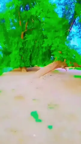 #𝗮𝗰𝗵 #𝗴𝗼𝘁𝗵 #𝗽𝘆𝗮𝗿𝗮 #creatorsearchinsights #fypシ゚viral🖤video🤗foryou #fypシ゚viral🖤video🤗foryou #fypシ゚viral🖤video🤗foryou @⚔️..S...🚩⚔️ 