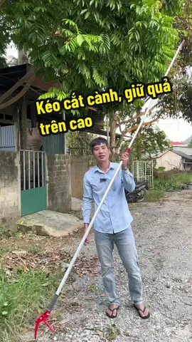 Kéo cắt cành, giữ quả trên cao tiện lợi dài 3 m##baobacbo##keocatcanh##xuhuongtiktok