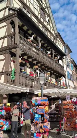 Strasbourg très jolie 🥰