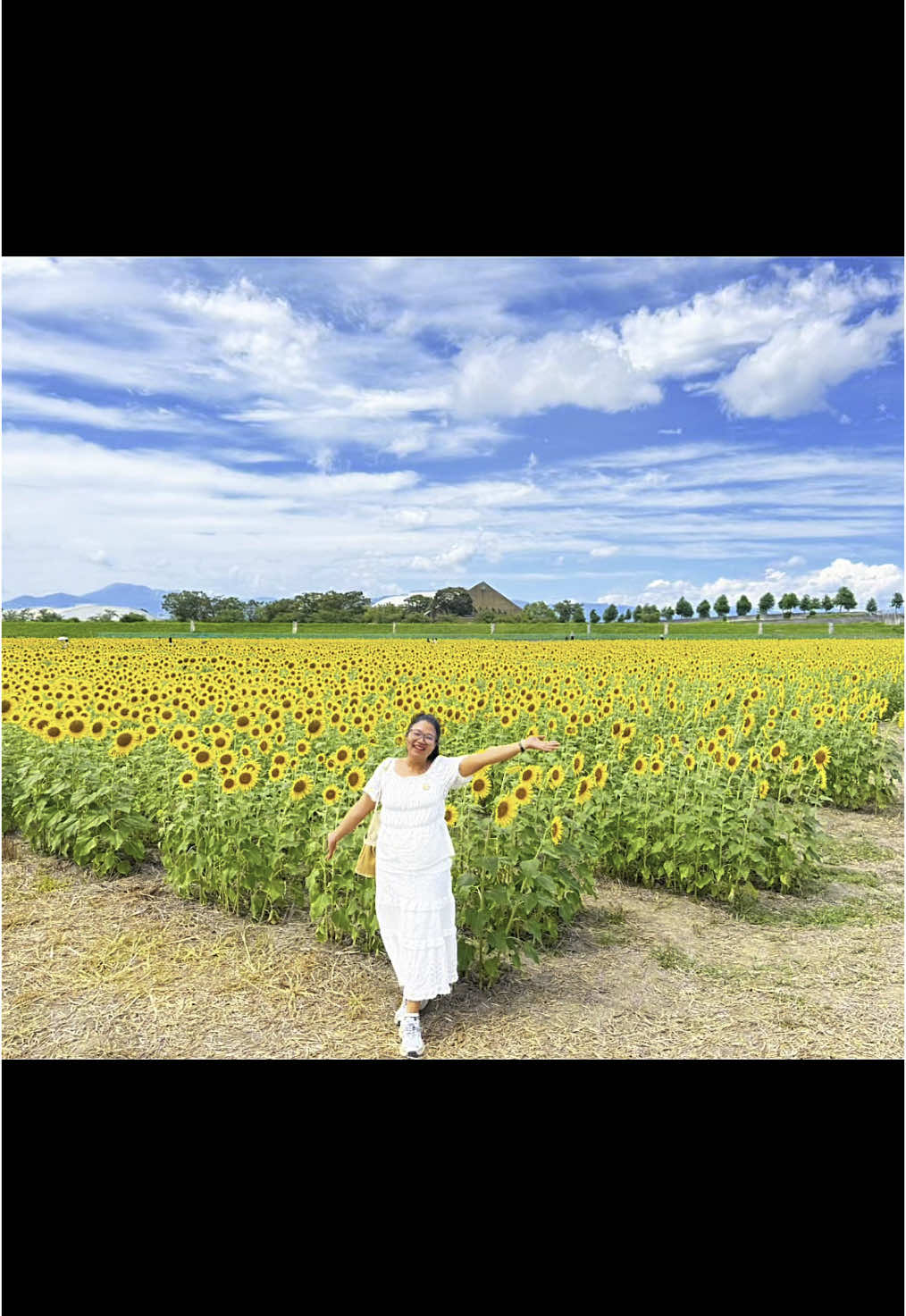 #ひまわり #🌻 #CapCut 