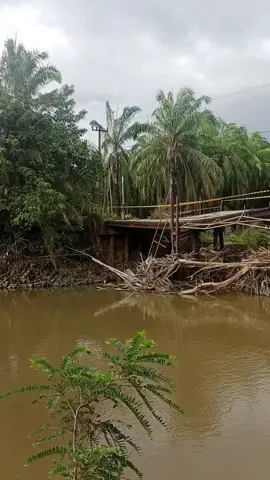 masih dalam pencarian sawit #promomakanmerdeka #fyppppppppppppppppppppppp #sawitpadanglawas #padahariini #jembatanmiring #senggoldonkシ🖤😎🤙🤙 #sawitsumatraindonesia🌴 #sopirtrukpunyacerita 