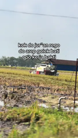 🙂‍↔️🙂‍↔️.                                        #combineharvester #bimo102ss #putratunggal #putratunggalgrup #gabahgank #ทีมงานเจ๋งราตรีลพบุรี #bosmuda #gabahbalap🌾 #fyp #fypシ゚ #fypシ゚viral #fyppppppppppppppppppppppp #fyp #fypシ゚ #fypシ゚viral #fyp #fyp #fypシ゚ #tren #fypシ゚viral #fypシ゚ 