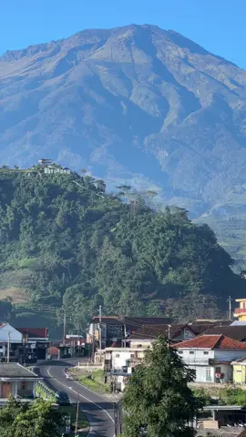 Punya kenangan apa di jalan ini? Yang ke Dieng lewat Temanggung biasanya lewat jalan ini, pemandangannya seindah ini #fyp #temanggung #kledung #dieng 