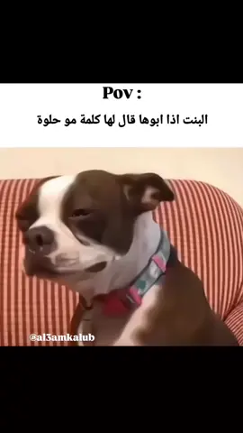 #viral #دويتو #مليون_مشاهدة❤ #ترند_تيك_توك #مشاهير_تيك_توك #السودان_مشاهير_تيك_توك🇦🇪🇦🇪االاكسبلورر #الشعب_الصيني_ماله_حل😂😂 
