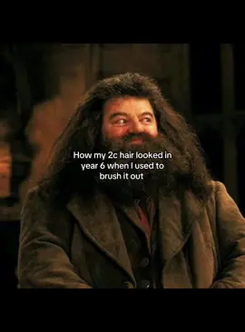 People thought I had nits😔 #curlyhair #hagrid #fyp #meme #funny #viral #wavyhair #2chair 