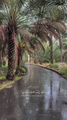 #المنشاوي #قرآن 