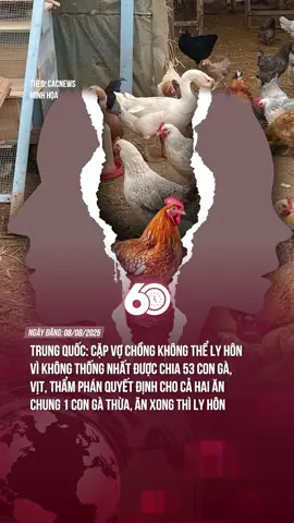 ĐẾN ĐÂY THÔI, ĂN XONG GÀ LÀ GIẢI TÁN =)) #tiktoknews #60giay #theanh28