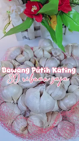 kating 1 kg hanya 30 ribuan #bawang #bawangmerah #bawangputih 
