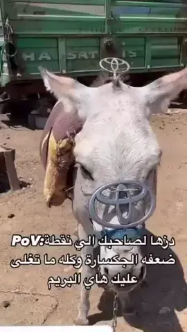 شني تاكات ما مسولفيلي عليها ماشالله لحد يخلي جكساره بنفسع صعدوها😂😂خطيه لياباني😂#بصره #المعقل_البصرة #زبير #بصره_بغداد_ميسان_ذي_قار_كل_المحافظات #شلوخ_مانبيع_ما_عدنه_شي👑 