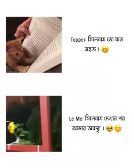 🥲🤲🏻  #bdtiktokofficial #virlvideo #virlvideo #foryou #fyyp #unfrezzmyaccount 