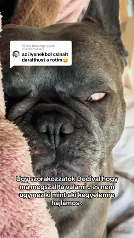 Válasz @banvolgyigyuri1 részére 