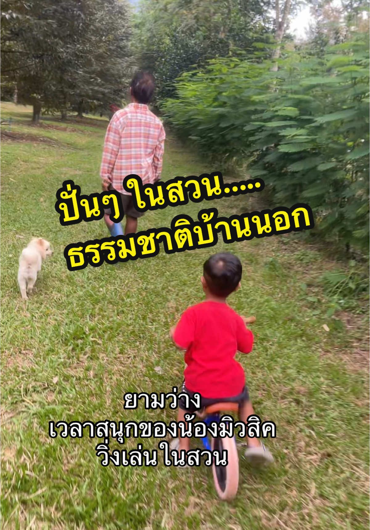 ชีวิตที่เรียบง่าย ชนบทบ้านเรา #รีวิวจากสวน #สุขเล็กๆทุกวันในสวน #ธรรมชาติบ้านนอก #เกษตรอินทรีย์ยุคใหม่ #สวนคุณครูเกษตรอินทรีย์ 