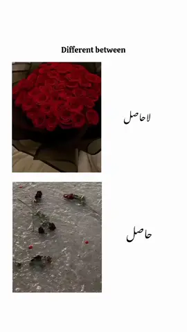 شفاء دیتا تھا کبھی کسی کا مرہمی لحجا وہ مسیحا مجھے بیمار بنا کر چھوڑ گیا🥺❤️‍🩹🤌🏻  . #growmyaccount#onlyforyou 