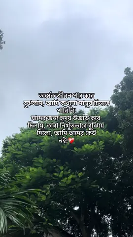 অর্ধেক জীবন পার করে বুঝলাম, আমি কখনো মানুষ চিনতে পারিনি! যাদের জন্য হৃদয় উজাড় করে দিলাম, তারা নিখুঁতভাবে বুঝিয়ে দিলো, আমি তাদের কেউ নই!🖤#fffffffffffyyyyyyyyyyypppppppppppp #1m #foryou #vairalvideo #foryoupagey #bdtiktokofficial #evryone #forever #fypシviral 