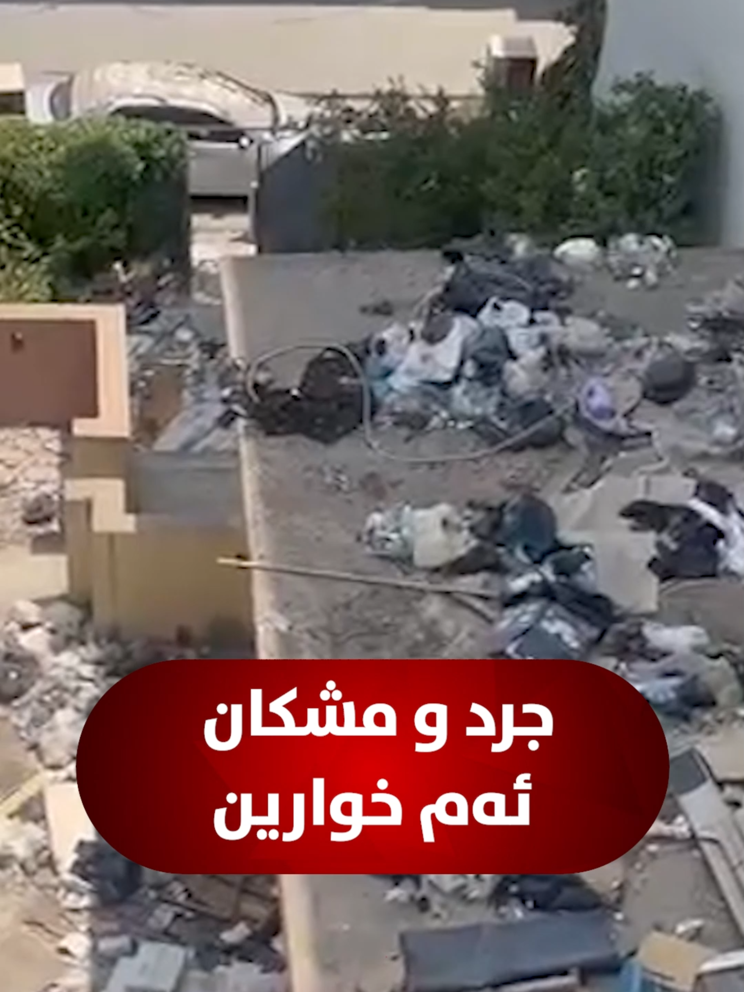 🔴 وەلاتییەکی ئەڤ ڤیدیۆیە بۆ گاڤ هنارتییە و گۆتییە: خانییەک ل پشتا نەخۆشخانەیێ ل بازارێ زاخۆ چۆلبوویە و کەس تێڤە نەمایە، ژبەر کو خەلک گلێشێ خۆ دهاڤێتێ بێهن کەڤتییێ و جرد و مشک لێ زێدەبووینە، هیڤییە چارەببیت.