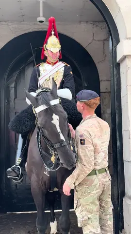 Nippy king Ormonde #london #kingsguard #highlights #tradition 