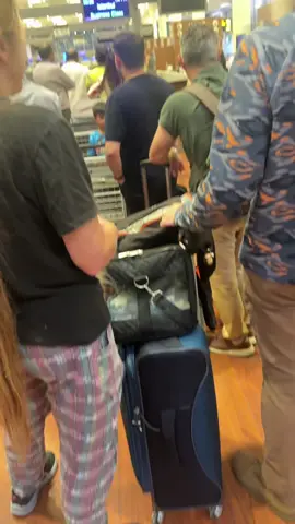 ✈️❤️