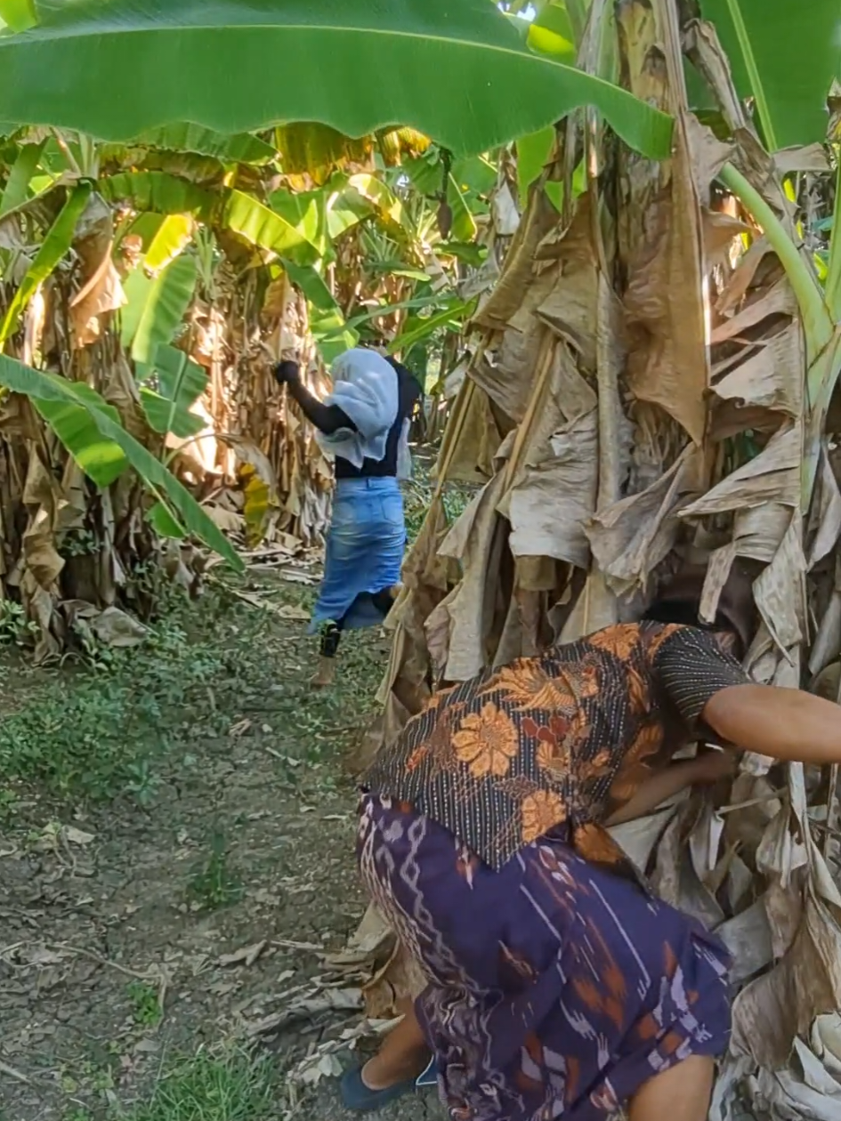 fokus ke kripik ususnya yg sangat enak banget dan renyah banget