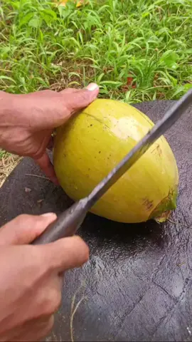 Cut coconut fresh oke #satisfyingvideo #fruits #amsr 