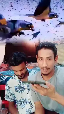 সুরা ফীল #foryou 