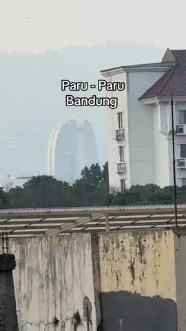 Paru - Paru Bandung #bandung #paruparubandung #bandunginfo 