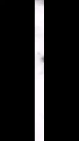 #CapCut 