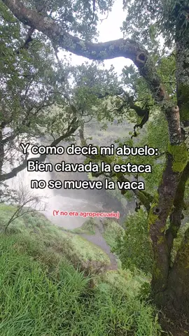 viejo sabio #paratiiiiiiiiiiiiiiiiiiiiiiiiiiiiiii #paratii #abuelos #humor #foll #fypシ #foryoupage #entretenimiento #larachaaaaaaaaaa🔥 #consejosdeamor 