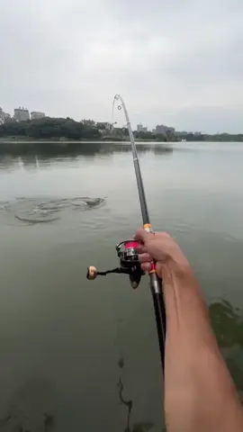 🎣 LỒNG CÂU 6 MÓC – CÂU CÁ MỎI TAY, KHÔNG LO TRẬT MỒI!