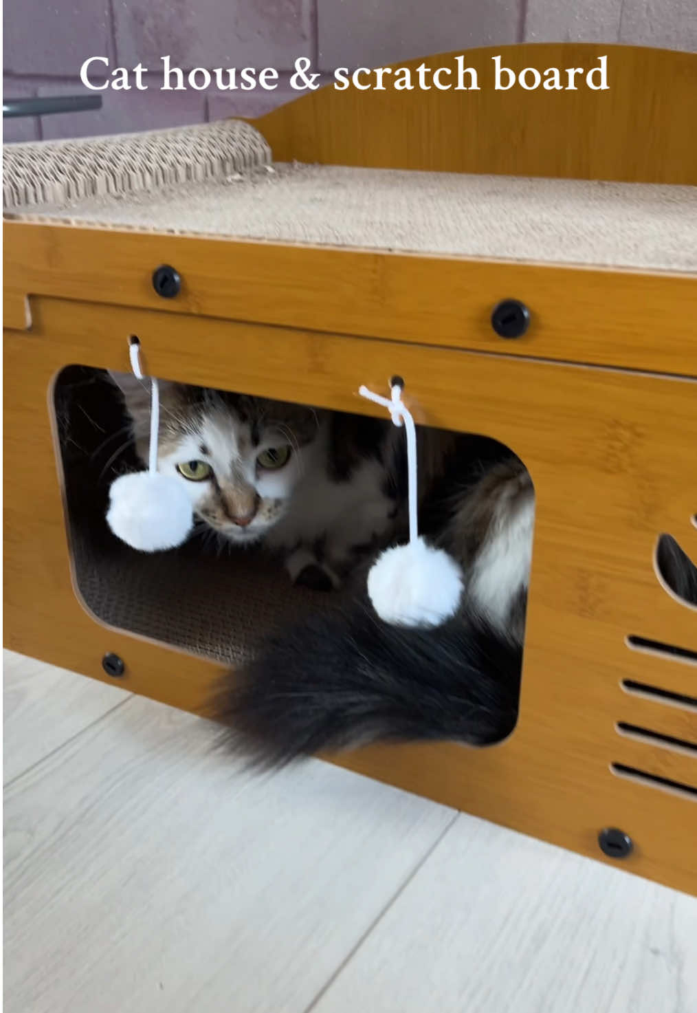 #cathouse #catbed #carscratch #scratcher #catscratcher #TikTokMadeMeBuyIt 
