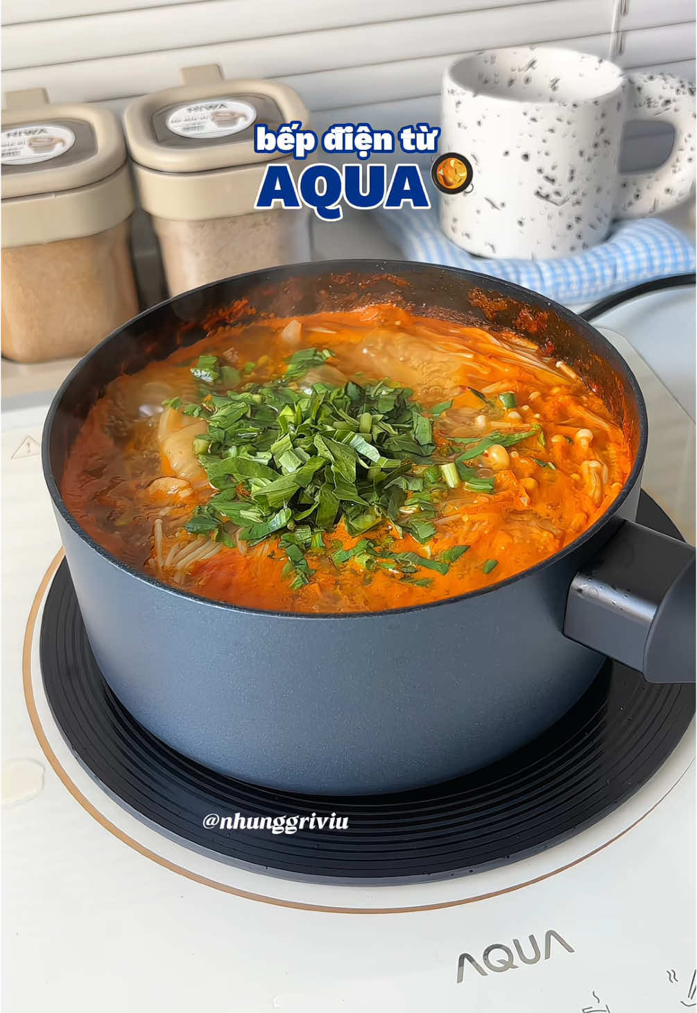 bếp Aqua xịn lắm cả nhà ơi 🥘🍳🧑‍🍳👩‍🍳#bepdientu #beptu #bepdienaqua #aqua #beptuaqua #xuhuong #fyp 
