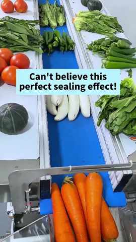 Hello, boss. Do you know what is the horizontal packaging machine? Just like this! Suitable for all kinds of  vegetables, fruits, meats and ect. #packaging #machines #factory #packingmachine #assembly 