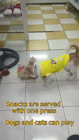 Yellow duck food launcher toy automatic feeder toy #toy #pyp #tiktok #fyp #pettoys #feedertoy #pet #petfoodfeeder 