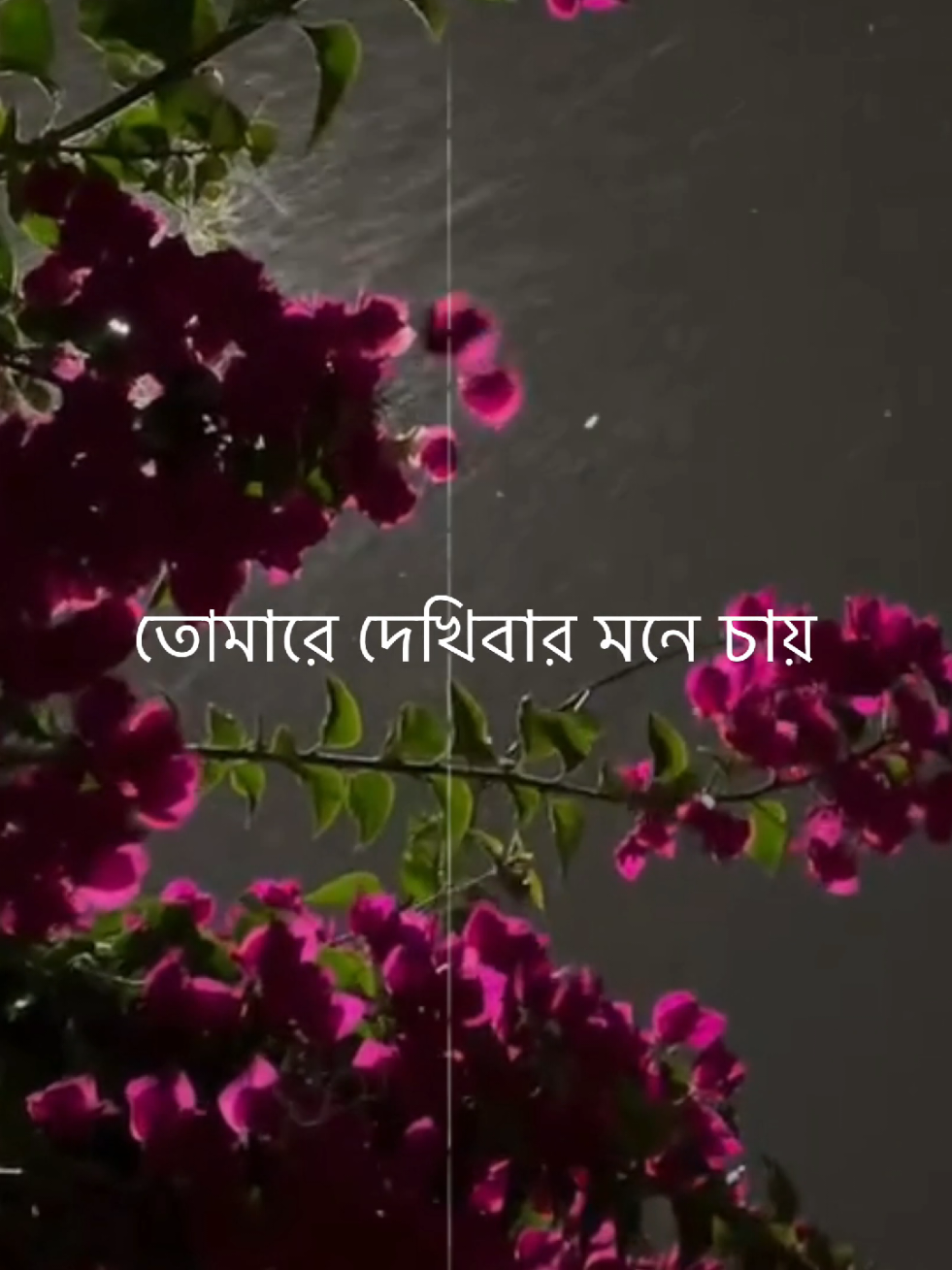 তোমারে দেখিবার মনে চায়  !!! 🖤💝 #adnan_9x #lyrics_song #lyricsvideo   #treanding #foryou #foryoupage #tiktok @TikTok @For You @TikTok Bangladesh 