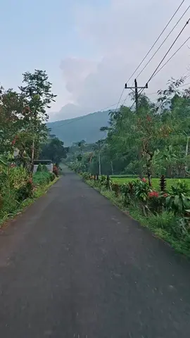 rumah masih jarang itu pun bergerombol #natural #explore 