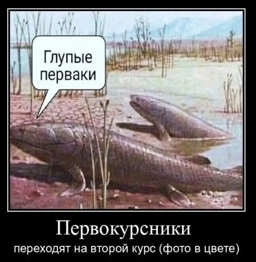 «Звёздный садовник»   На окраине маленького городка, где улицы постепенно растворялись в полях, стоял старый дом с высокой трубой. В нём жил пожилой мужчина по имени Виктор Иванович. Он редко выходил в город, и соседи шептались, что он чудак. Но правда была куда интереснее.   Виктор Иванович был… *звёздным садовником*.   Каждую ночь, когда город засыпал, он выносил во двор странный прибор, похожий на смесь телескопа и лейки. Наводил его на небо, ловил далёкие звёзды и *поливал* их особой жидкостью из серебряного флакона. Звёзды от этого начинали светить ярче.   — Зачем ты это делаешь? — однажды спросил его случайно проснувшийся соседский мальчик, Петя.   — Видишь ли, звёзды — они как цветы, — ответил Виктор Иванович, поправляя очки. — Если за ними не ухаживать, они гаснут. А когда гаснет звезда, где-то в мире становится темнее.   Петя задумался.   — А можно мне попробовать?   Старик улыбнулся и протянул ему прибор.   С тех пор каждую ночь во дворе старого дома можно было увидеть двух фигур — высокую и низкую — которые *поливали* звёзды и смеялись.   А небо над городком стало самым ярким в округе. #рек #игры #мем #real 