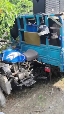 show bánh kem...