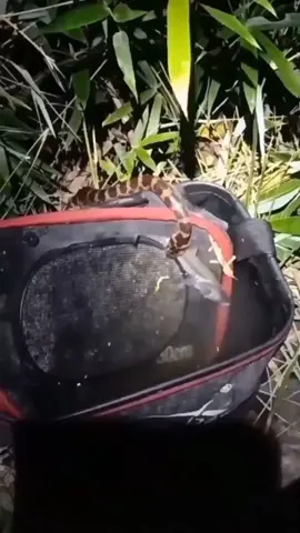 saat aku mancing malam tepat dihadapan ku