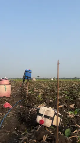 Mimpi besar dimulai seko langakah cilik, senajan timik timik 