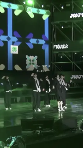 この曲裏メロも大優勝なんだよなー#kpop #nctwish #おすすめ #steady #歌詞動画 #和訳 #バズれ 