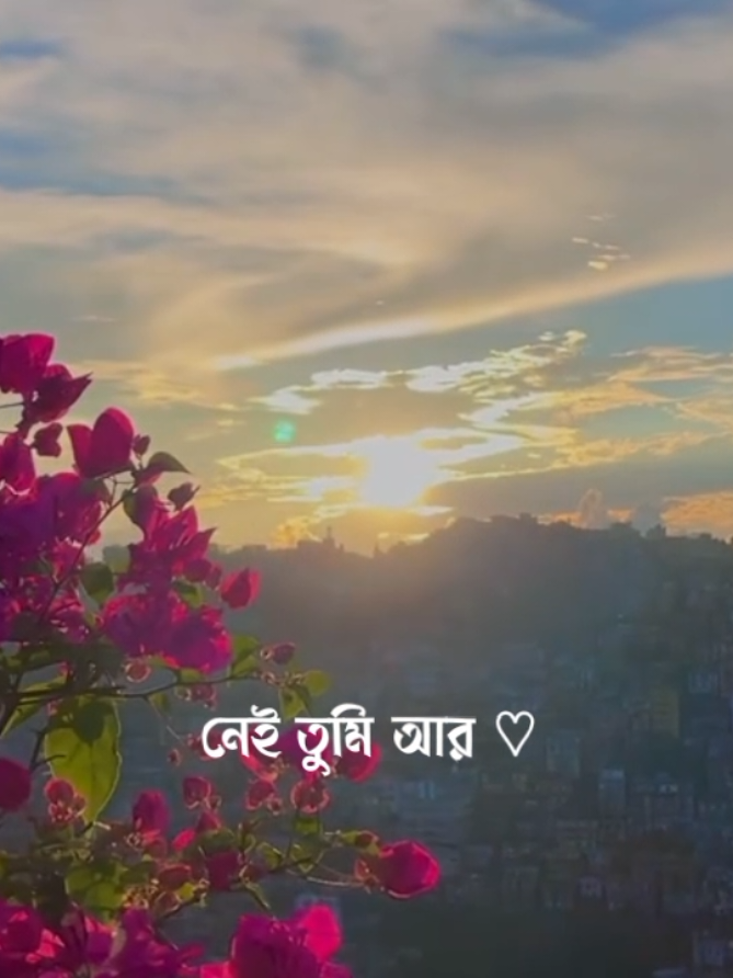 হারিয়ে গেছি সেই তোমাতে ❤️‍🩹😅#tiktok #video #viral #song #foryou #foryoupage #unfrezzmyaccount #lyrics_emon_202 #trending #song #views1m #like100k #songlyrics #💞💓 