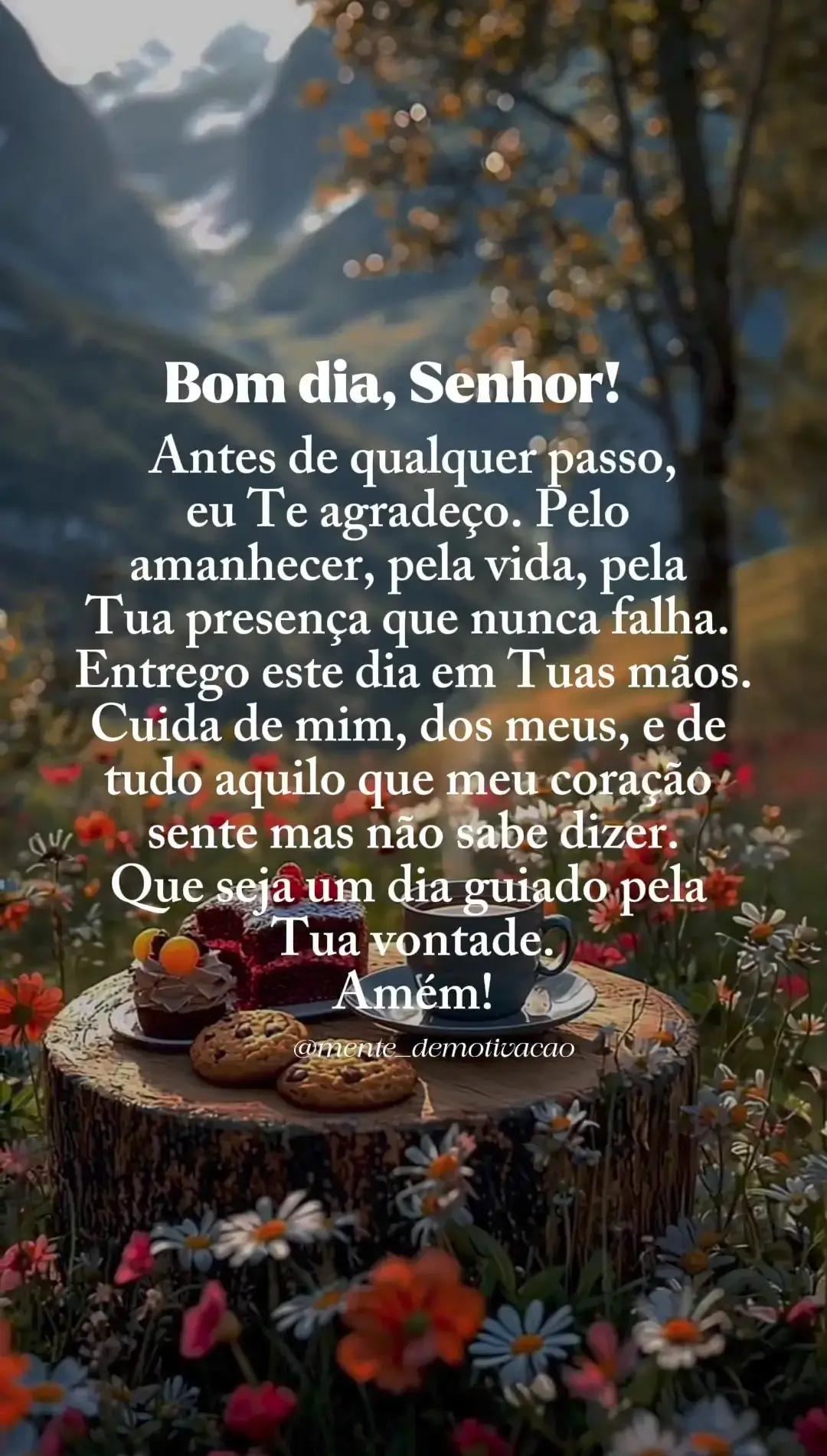 #bomdiadeus #obrigadadeus #deusebomotempotodo #gratidao🙏 #deus_no_controle #fyppage #foryou #fy #fypviraltiktok🖤シ゚☆♡viral 